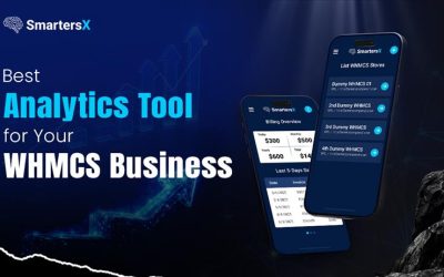 The Best Analytics Tool for Your WHMCS Business